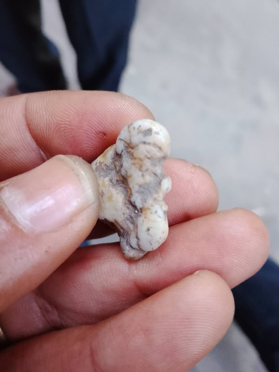 عطف مصور


**إذا كنت صاحب هذا الإعلان وتريد حذفه لأي سبب، رجاءا أرسل رسالة إلى الدعم الفني**
