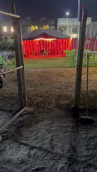 طالب جامعي • مطعم بسيط • الاسكان الصناعي