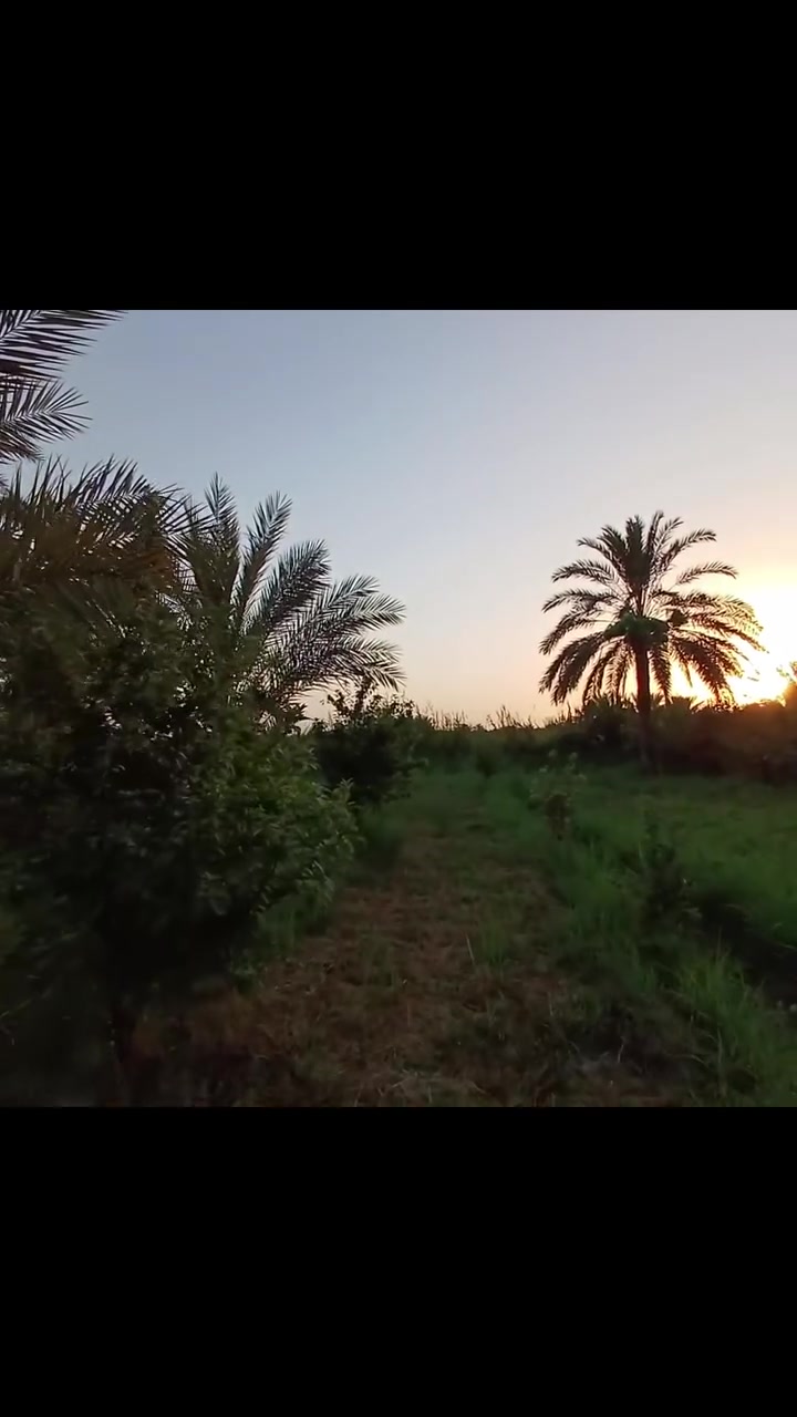 السلام عليكم ✅للبيع دونمين طابو ملك صرف ✅ بغداد البداغيه ✅ تريد دونم او دونمين ماكو شكال ✅ مخدومات بالكامل متوفر ماء سقي وماء اساله وكهرباء ✅اللا ستفسار ✅***********
