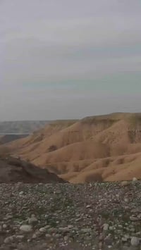 نامه • معدل • مكفوله من سرقة