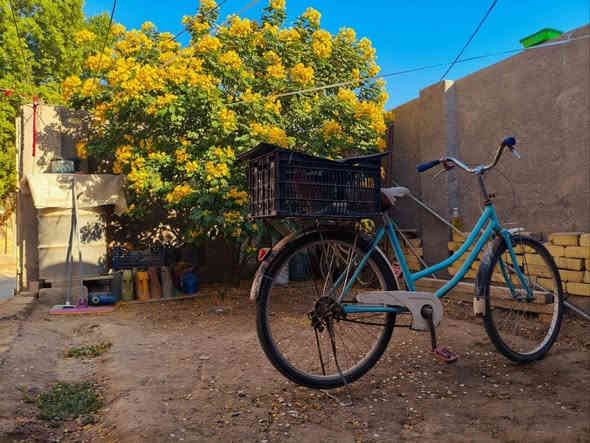 بيت ركن للبيع
‏المكان: الحلة /البكرلي
‏سند 25 
‏المساحة: 124 م²
‏البيت طابوق وصب كونكريت
‏يحتوي البيت على استقبال وغرفة نوم وصالة ومطبخ وصحيات وحديقة ومساحة كراج للسيارة.
‏الأرضية سيراميك والسطح فرشي
‏رقم التلفون: ***********
السعر: 70 مليون قابل للتفاوض، (بي مجال). حلة
