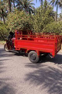 ستوته دايوان فحل موديل 16 محرك موديل 21 اوراقها اصوليه كامله السعر ملي...