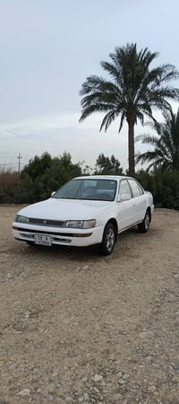 كورلا • رقم بابل • واسط كوت