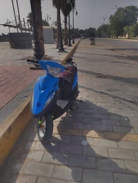 ماكس • عدله • كفاله