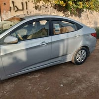 اكسنت • ٢٠١٦ • صبغ من الجراد