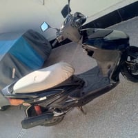 سكنز ام الطلاعات فحل سكنز فحل ام الطلاعات كابريتر مو نوزل للبيع مال جن...