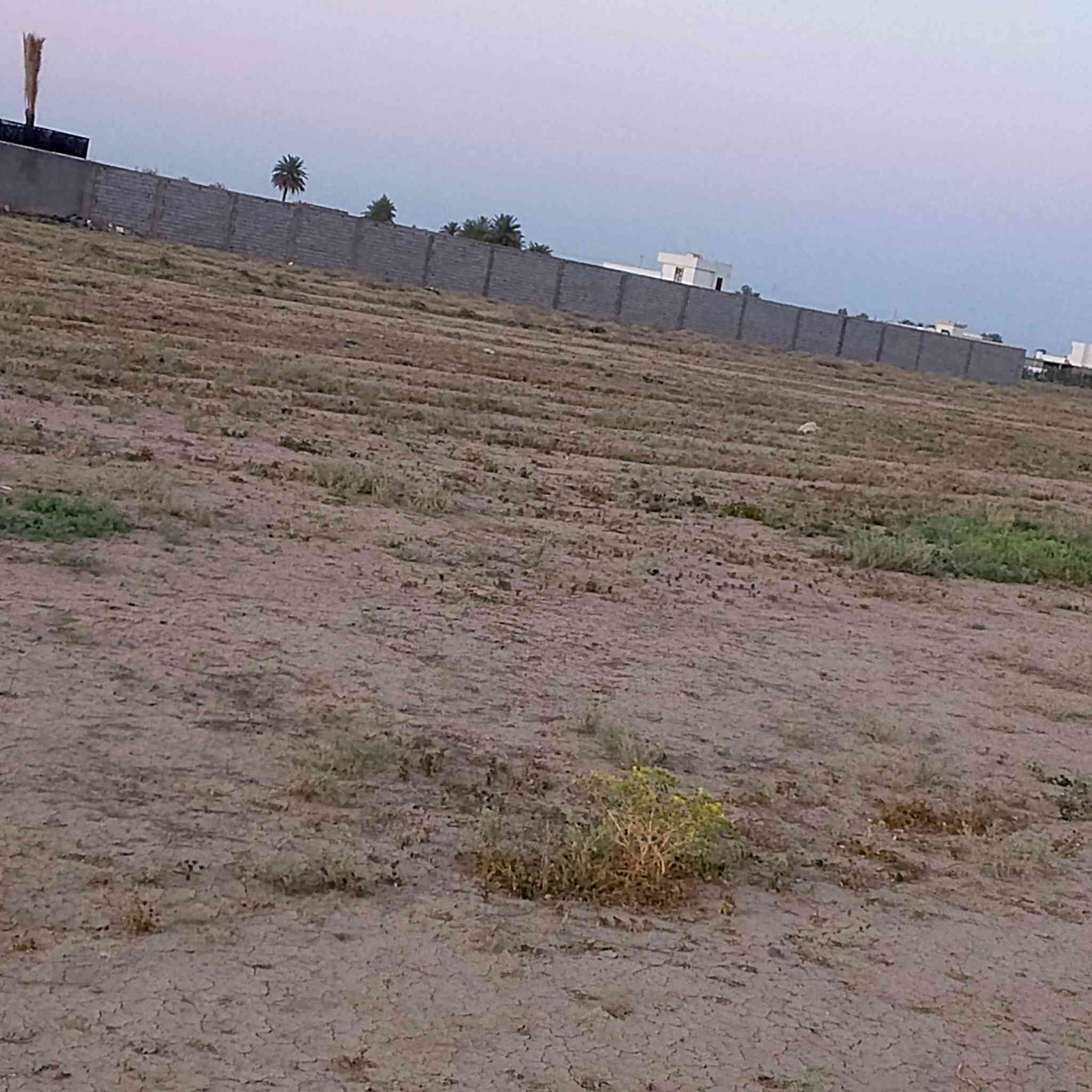 سلام عليكم
اللبيع 2 دونم 

بابو غريب السميلات 

قرب من مزرعه محمد سامي بوسط مجمعات شاليهات للايجار 

الواجهه 70 نزال 72 دونيمن 

متوفره ماء كهرباء 

طابو زراعي سند 25 الك حق التصرف  الاسعار مناسبه جدا الاستفسار(*********** ) الاتصال واتساب
