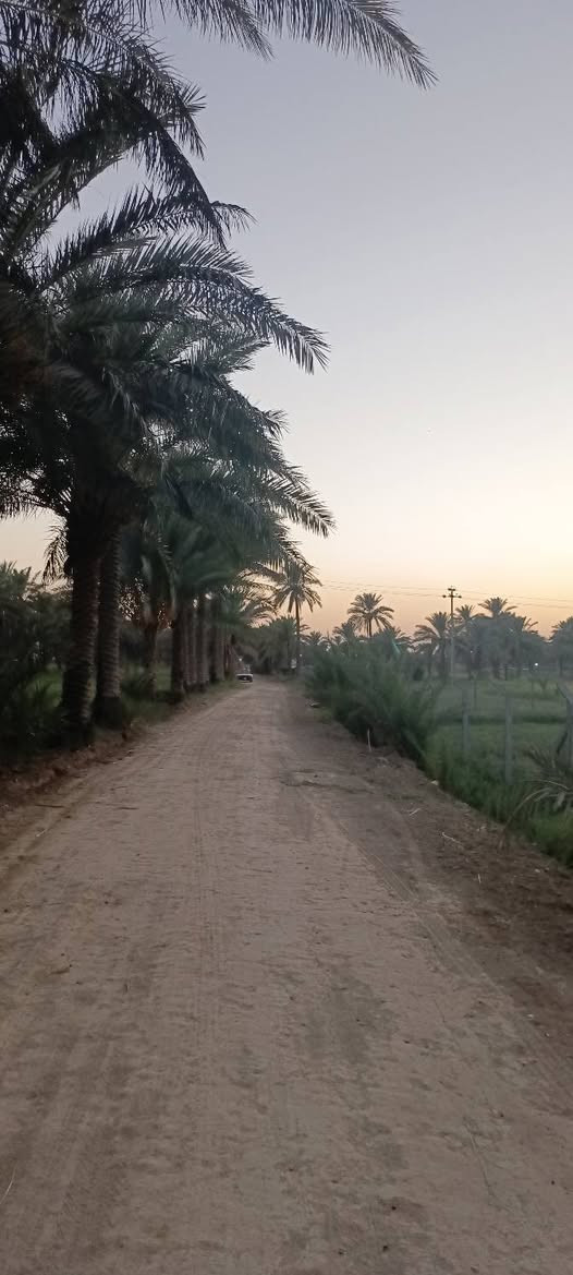 السلام عليكم للبيع مساحة ٤ دونم
مع كافة الخدمات متوفره تحويل سند ٢٥ بسم شخص واحد
عليه شارعين بدايت النيل قرب مخازن سيراميك مرجان
وطريق ثاني مقابيل كوين بارك وطب مسيجات وجاهزات يرهم مزرعة ومخازن وسكن بكيفك كلشي متوفر بيه
من يرغب بالشراء ينتصل ويدلل ***********/***********
تبعد عن مركز مدينة ١٠دقايق بلسياره 
تحياتي لكم اخوكم مالك السلطاني
