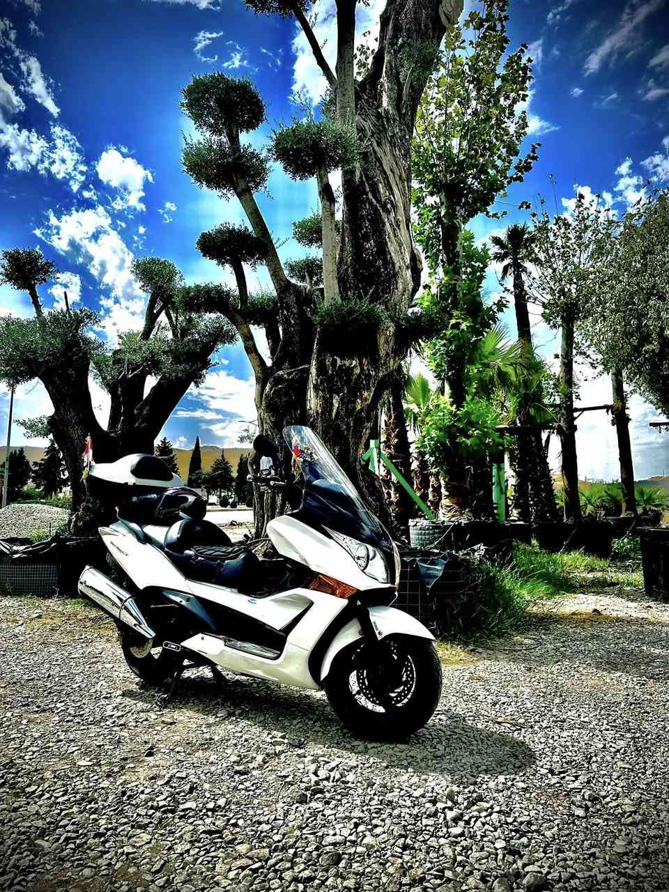 السلام عليكم دراجه جديده معنى الكلمه هواي بيهه مواصفات وشراي يتصل وهذا رقمي ***********بس ع هاتف ع فيس ممتواحد فقط اتصال رقم بغداد
