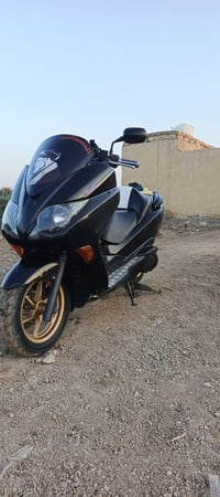 فورزه • ترايك • مكفوله