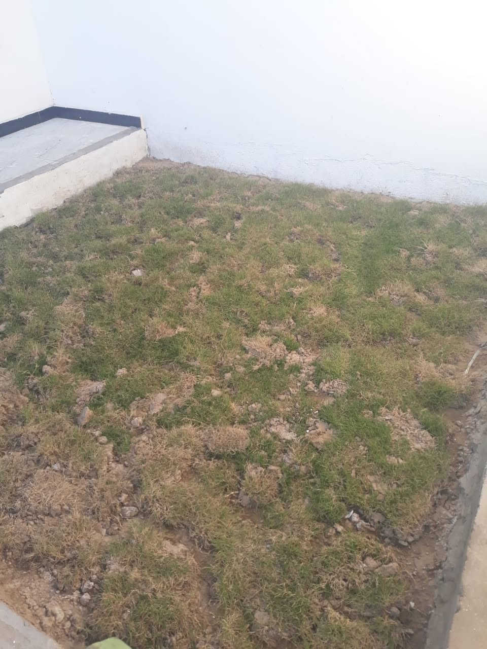 دار للبيع تسليم مفتاح
مساحة 140م طابقين طابو زراعي سند 25
خدمات كامله ماء كهرباء تبليط أناره شارع
تفاصيل البناء
غرف نوم عدد 3
كلدور عدد2
مطبخ
استقبال
مجمع صحي عدد3

الموقع//ورديه داخل منطقه الامام سيد موسى
للاستفسار اكثر الاتصال على الرقم
***********
