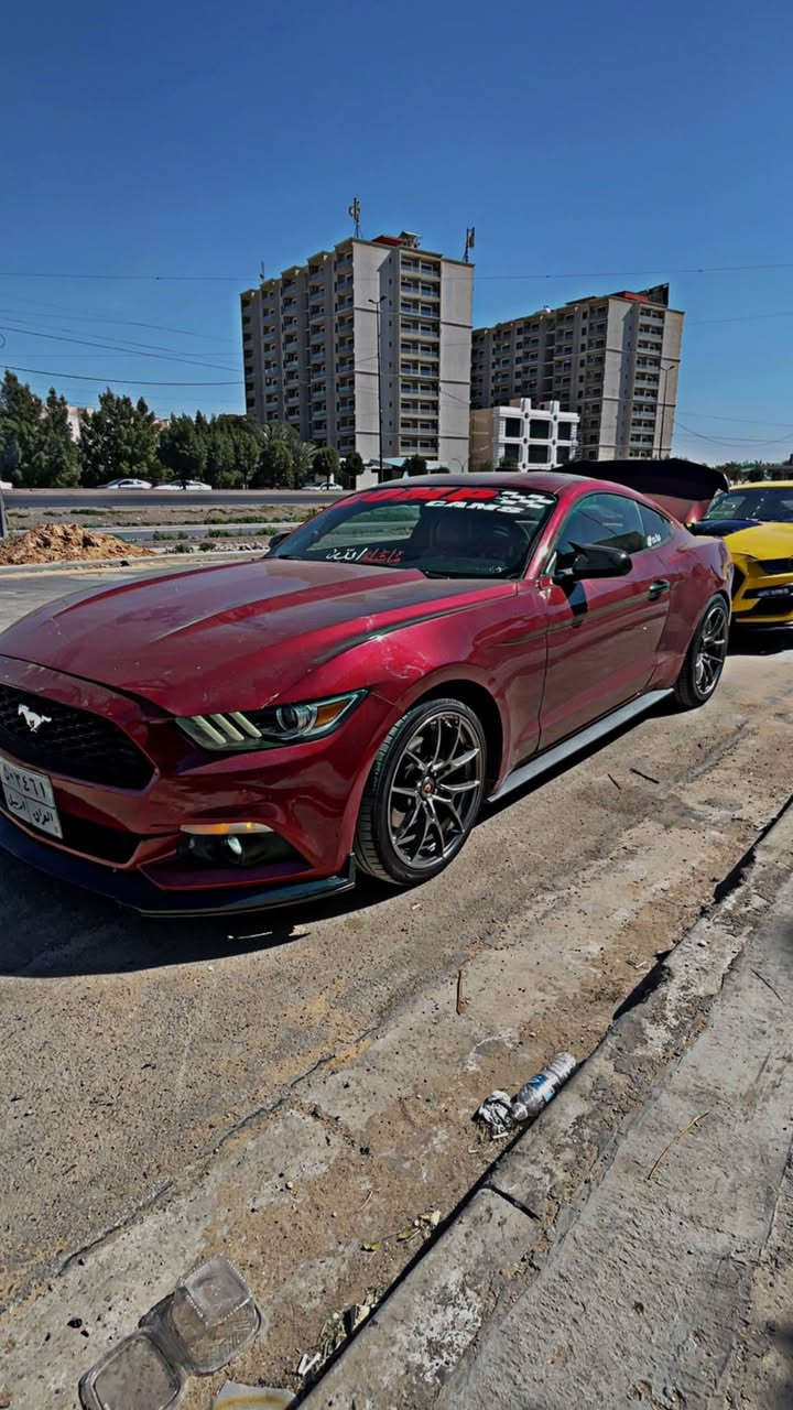 موستنك موديل 2017 
V6
سيارة جاهزة من كلشي 
تايرات جدد مصالهن يومين شادهن  
صبغ حزام سيارة قمارة والجنطة بلاد مابيهن صبغ 

السعر 129 بيهة مجال 
بيع او مراوس
 *********** بغداد, العراق
