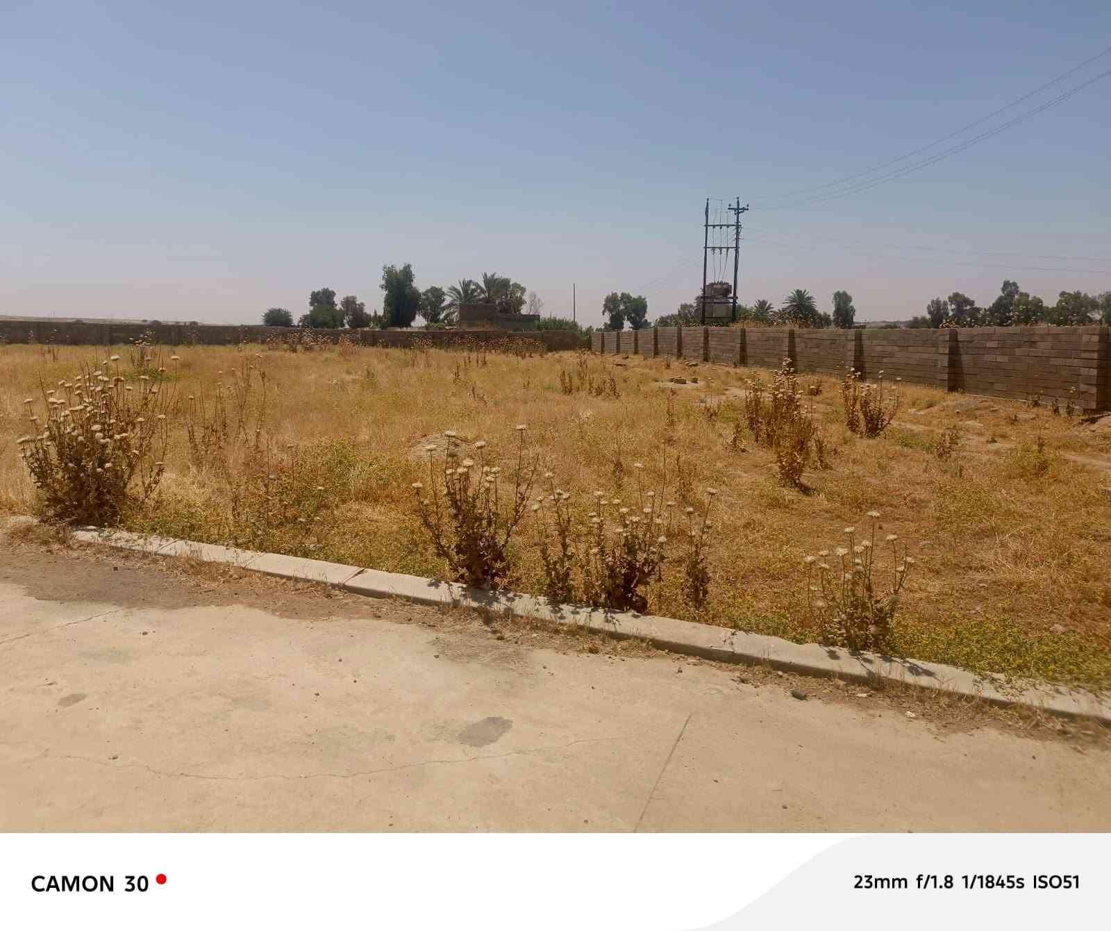 بيع مستعجل 🏗️
ارض زيونه خامسه سومر نهائيه شارع الوزير 150 متر خدمات كامله بيها كرت بلديه نهاية شارع الوزير على شارع 124 
 السعر 15 بيها مجال
واتس اب  :***********
اتصال هاتفي:***********

