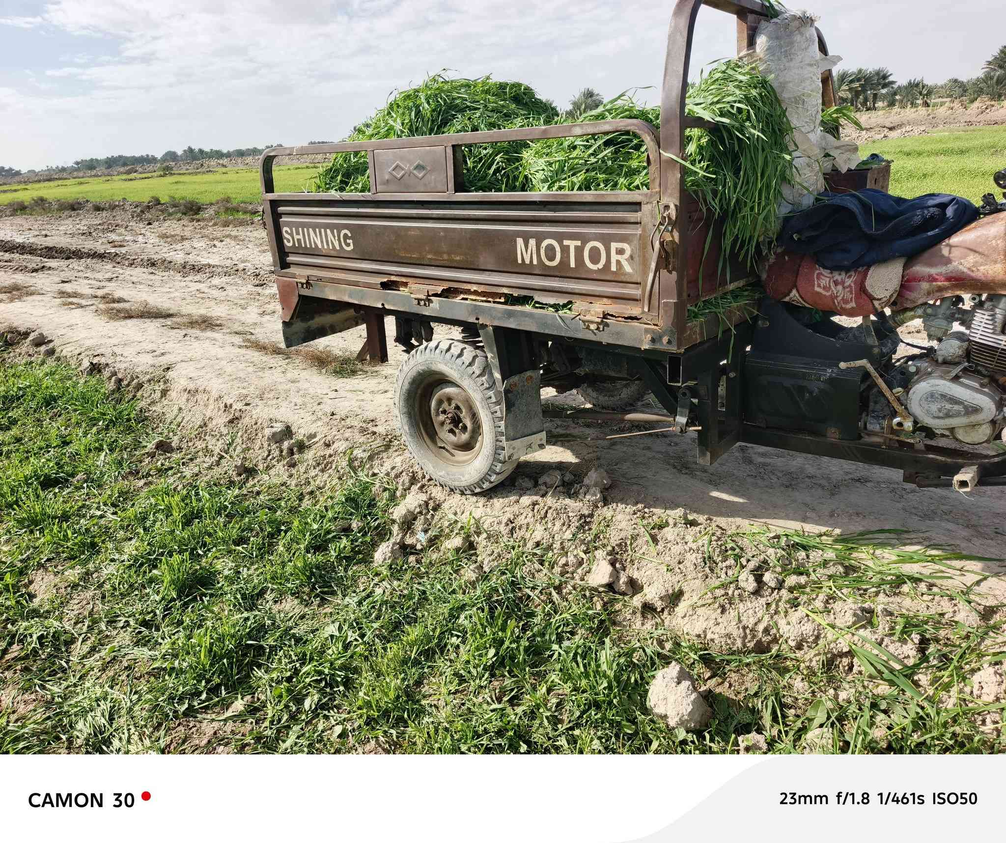 سلام عليكم ستوته البيع كلك مانقصها شي في شنافيه ***********
