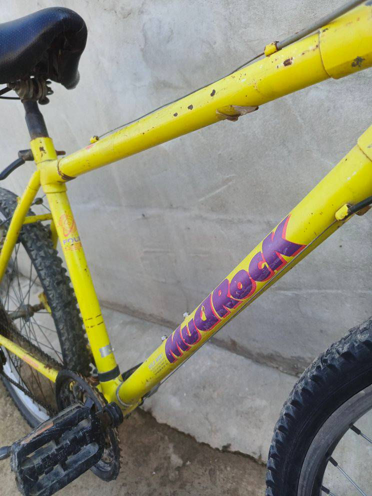 بايسكلات للبيع شلعة وحدة
قيم واخذ مكاني حي سومر


**إذا كنت صاحب هذا الإعلان وتريد حذفه لأي سبب، رجاءا أرسل رسالة إلى الدعم الفني**