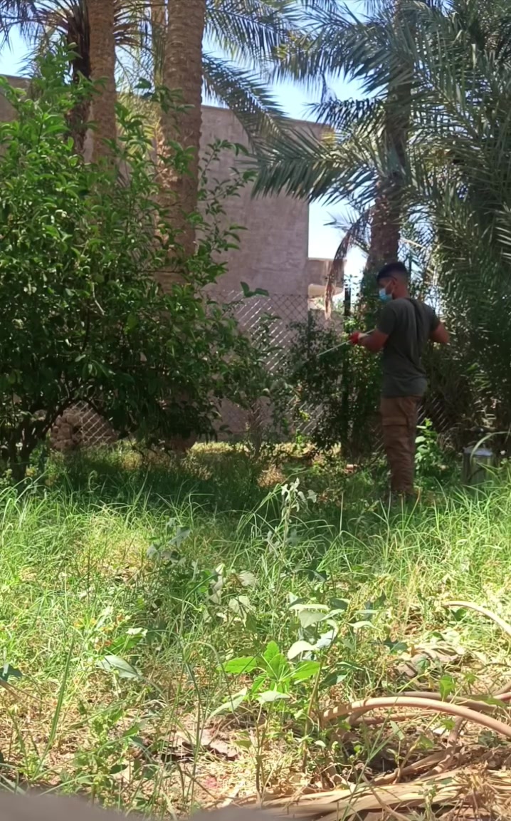 ش جميع انواع المبيدات التواصل خاص او على الرقم *********** مصطفى مارب 
مبيد صحه عامه حشري 6 اشهر للمنازل 🦟🪰🦂🐜🪳
مبيد عناكبي  🕷
مبيد تثبيت الحمل عند الازهار للحمضيات 🌳 والنخيل🌴 والتين ☘️
مبيد حام للقضاء على الحشائش والادغال والقصب 🎋🌿🌾🌱
