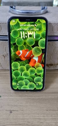 ايفون ١٢ برو ماكس • ٢٥٦ • شاشه اصليه