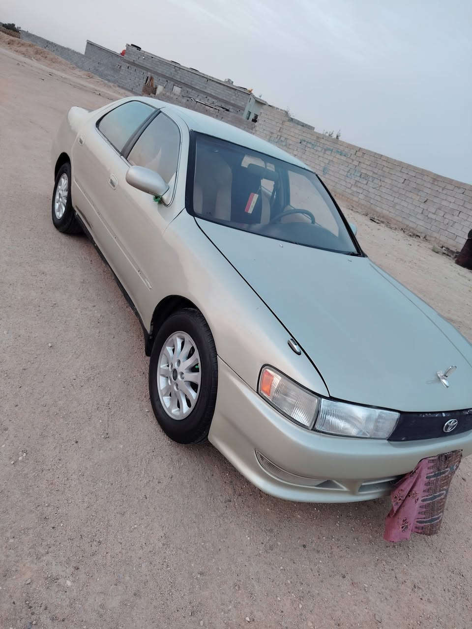 مراوس فقط كرسته  بيه كص قماره فقط

          مراوس محور عادي بس كون نضيف ونطي فرق

                  مكاني البصره الزبير
   

                     '' '*********** تليفون
