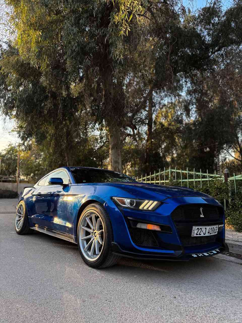 موستنگ ايكو 2017 تراك بكج  قطعتين صبغ جاملغ خلفي +امامي عكس السايق    بدون دواخل شاصي لغد كفاله السياره جديده 
ترايها وين ميعجبك قوه ونعومه 
ماشيه 53 الف السياره بيها
كيجات وسطيه تراك بكج
دعاميه اماميه شيلبي 
ويل فيراد تو سايز حجم 20  
سبايدر شيلبي
لويات مهبطه
دفيوزر خلفي هينسي
ليد تكساس
 السياره كلشي مناقصها ترايها كلش حلو صدر وادامه قبل فتره جاهزه ع اخر حبه 
رقمها اربيل تريد تحويل وكاله ماكو مشكله وصفر غرامات 
السعر 128 بيها مجال
مكاني بغداد جديده 
***********
