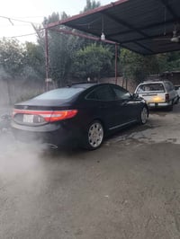 ويل كب • مقاس ١٩ • مكفول