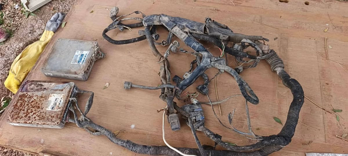 السلام عليكم 
غراض هارتوب و بطه وارنب 
كلهن انضاف شرط الشغل 
ديلكو مع الوايرات ٧٥ الف 
ظفيره نظيفه حيل سعرها ١٠٠ الف
اكسن مع الدرايمات ٢٠٠ الف
بخاخات مع المصدره ولف راجع شرط الشغل سعرهن ٨٠ الف
طبلات خلفيه شرط الشغل والنظافه سعرهن ١٩٠ الف الزوج

عندي غرفه كامله هارتوب نقصها بس ابطاين الاماميات سعرها كامله ٦٠٠ 
دشبول كامل نظيف
كشنات كامله كهرباء
فرس نظيف 
ابطاين خلفيات جدد
تنته والكصه مالتها جدد
دشبول خلفي جدد
دركه مع الكفرات جدد

مكانها الحله حي العسكري 
***********
