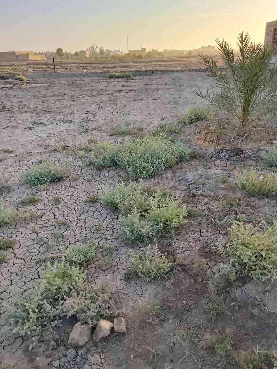 السلام عليكم ورحمه الله وبركاته قطعه البيع طابو زراعي قريبه على حي المصطفى من جيهت العريفات  خدمات موجوده مساحت القطعه 250 متر استفسار على هاذا رقم ***********
