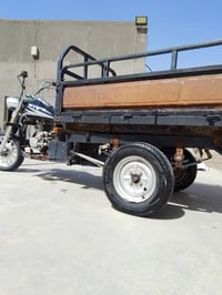 ستوته اكسن 2024 • شاصي مكفول • السماوة أبو چويلانة