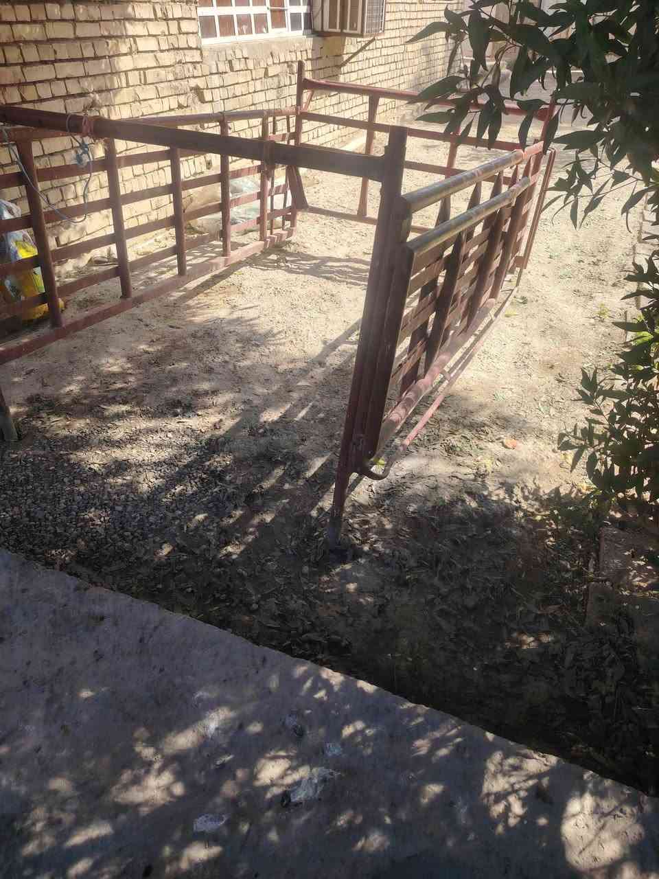 من رخصت الدمن
رمضان كريم 
محجر بوري البيع
بغداد حي البتول
هاتف ***********
مكلف بل نشر
