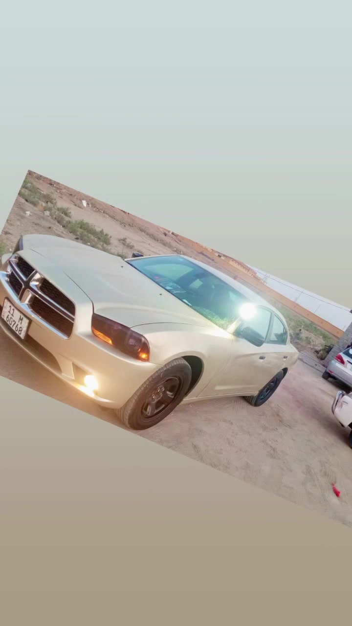 السلام عليكم شارجر 13. سياره بوليسي اصل سياربيه ضربه بالغد بدون كص فخذ الغد مبدأ بدون كصى فخ سياره جاهزه خمسه وسبع مئه سياره جاهزه للبيع او مراوس سياره بالناصريه تتكفل بالئصوليات تحويل مباشر رقم بغداد راعيه بغداد الموشراي ليعق ولايتصل الشراي يجي خاص او اتصال ***********
