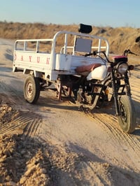 ستوته • سعر خاص • مراوس عادي