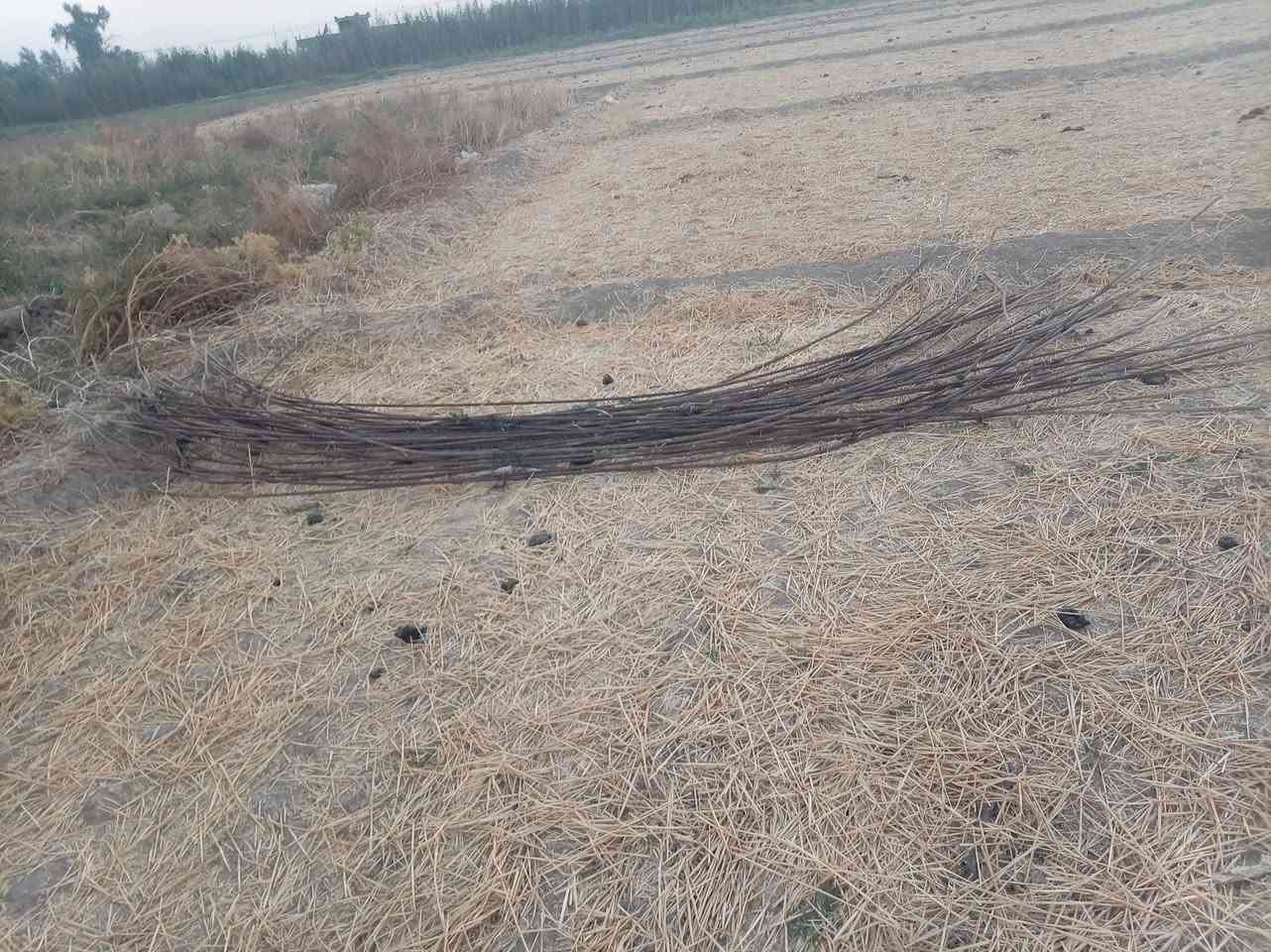 سلام عليكم
شيش ابو 6 أوكراني نظيف كلش
عدد 15 بيت
عنوان بابل جبله
***********
***********
