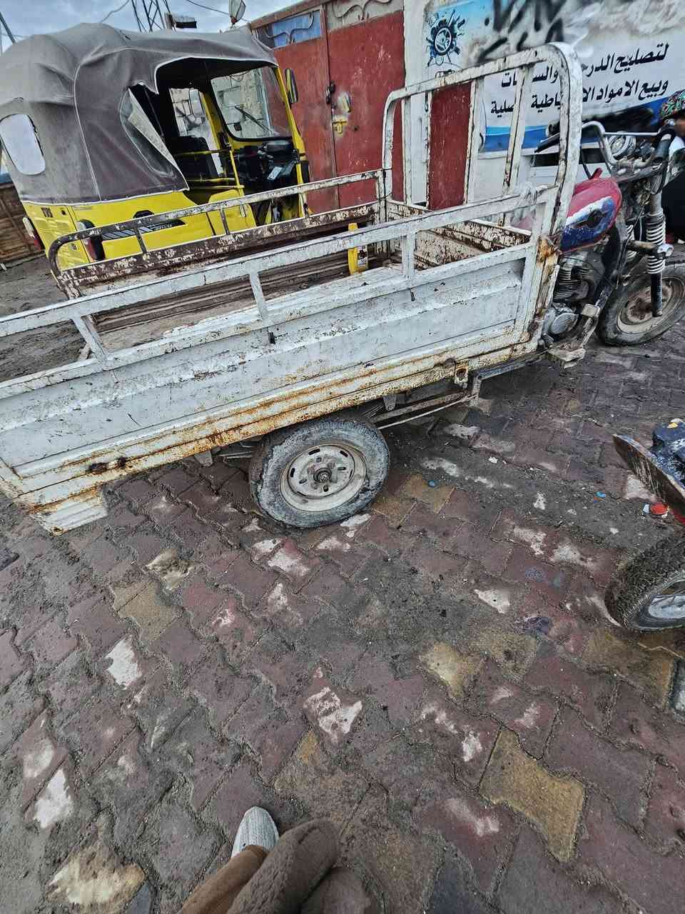 ستوته ١٤كلك مكفوله عشاير سلف شغاله مكينه خير من الله شراي يتصل ***********
