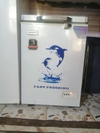 مجمدة • نظيفة • حجم صغير