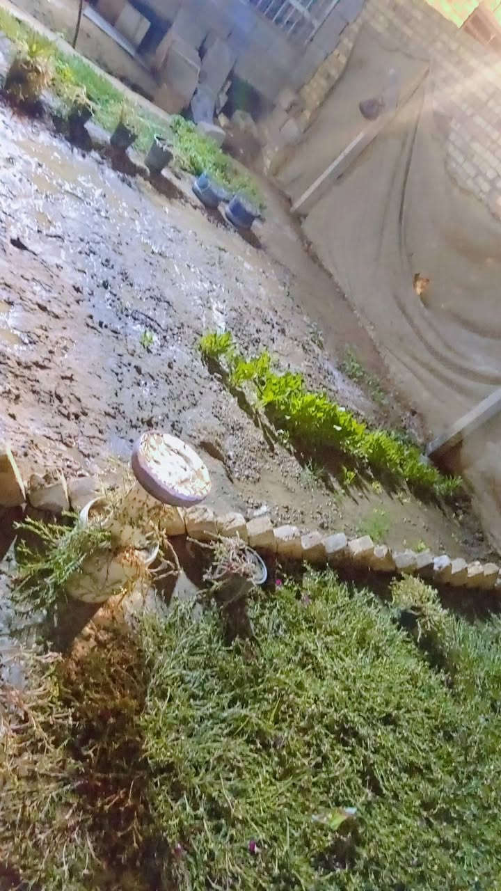 السلام عليكم ورحمة الله  رمضان كريم  
بيت طابو زراعي سند 25 مشمول بالتطويب  
خلف شقق الزيتون خدمات اناره ماء كهرباء تبليط 
رباط كونكريت مسلح ارتفاع فوك الرباط خمسه سوف طابوك صبه 10 سانتيم بناء بلوك العفلوكي  
المساحه 280 
غرف نوم عدد 2  (5×4) 
حمام 2×2 
صاله 5×7 
منور منتصف الغرف  
منور جانب الصاله  
مطبخ 5×4 نقص ارظيه ولبخ 
براني هيكل فقط  
حدايق 2 وكراج سياره  
نقص سياج خارجي وباب رئيسي وبيتونه  
السعر 43 وبي مجال قليل اي استفسار اتصل  
***********
