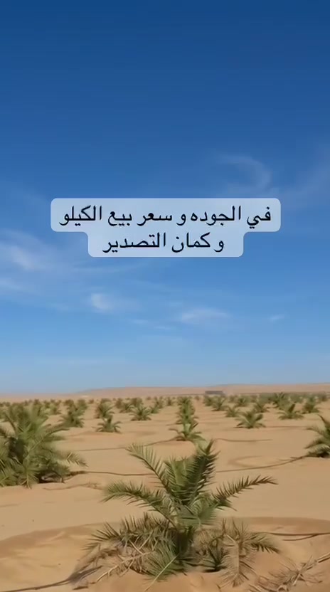 📌 استثمارك في مصر بقى أسهل وأأمن…
معانا كل خطوة ليها نظام واضح وعقود تحفظ حقك بالكامل، بداية من التعاقد لحد المتابعة والتسويق.

نوفر لك:
✔️ عقود رسمية موثقة
✔️ عقود إشراف ومتابعة كاملة
✔️ عقد تسويق لضمان أفضل فرصة للبيع والتسويق
✔️ تقارير وصور دورية من أرض الواقع
✔️ متابعة مستمرة وإدارة متكاملة لمشروعك

لو إنت خارج مصر وبتفكر تبدأ استثمار مضمون بإدارة موثوقة، إحنا معاك خطوة بخطوة حتى تشوف استثمارك بيكبر قدامك🌿

تواصل معنا 📲 : 
01000813427
 #الاشراف_نزرع_ثقه_ونحصد_ثروه #نخيل_مجدول #واحة_الاشراف


**إذا كنت صاحب هذا الإعلان وتريد حذفه لأي سبب، رجاءا أرسل رسالة إلى الدعم الفني**