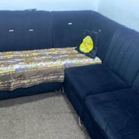 ديوان تركي • نظيف • حي الملاين