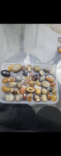 للبيع القطع على 5وذ شلع على 3 العنوان بغداد لاعضمية 07734026089