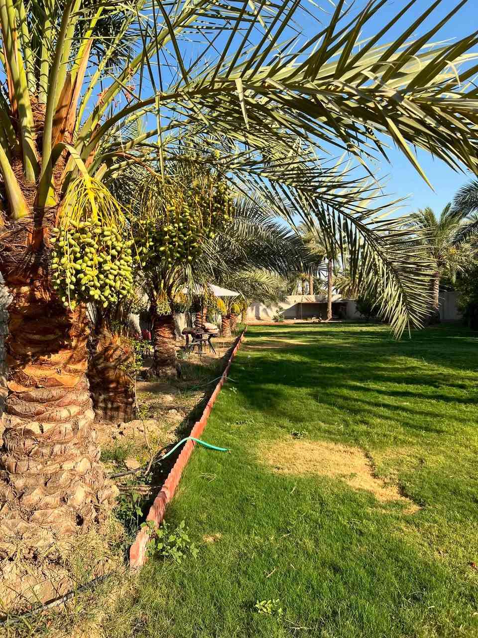 السلام عليكم 
للبيع نص دونم طابو سند 25 واجهة الأرض 25متر جميع الخدمات متوفرة ماء كهرباء تبليط الموقع بغداد المدائن منطقة الجعارة يبعد عن الشارع العام 100متر للاستفسار ***********
