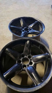 ويل ١٩ • تخم كامل • الحله