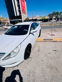 سوناته • ٢٠١٢ • رقم اربيل