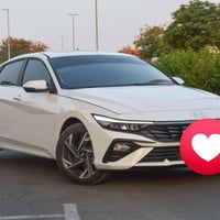 النترا • ٢٠٢٥ • مكفولة