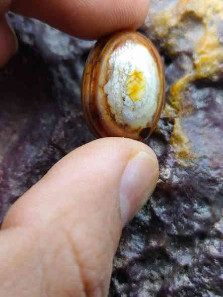 احجار طبيعية ذمة مصورة كل حجر وسعرة وما نختلف بالسعر
للتواصل خاص
او على الرقم
***********
