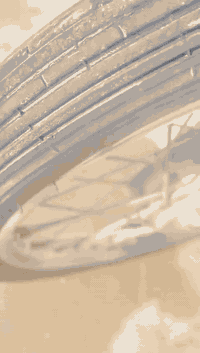 سلام عليكم نامه للبيع كامله مانقصه برغي فقط مفتوحه بوشه وبستم بس شرط محركهه ماينسمع لاصوت ولا تبخير شرط دراجه موديل 20 اورق كامله حت مكمركهه سعرهه 625 وبيه مجال مكاني ناصريه سيددخيل رقم ***********
