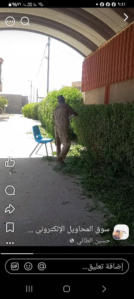 السلام عليكم اي شخص عنده حديقه يحب يزرعها ثيل او تنضفها اني اشتغلها وعندي ستوته انقل بيها مخلفات الحديقه. راسلوني علخاص رقمي واتساب *********** بلخدمه واسعارمناسبه وشغل مرتب
