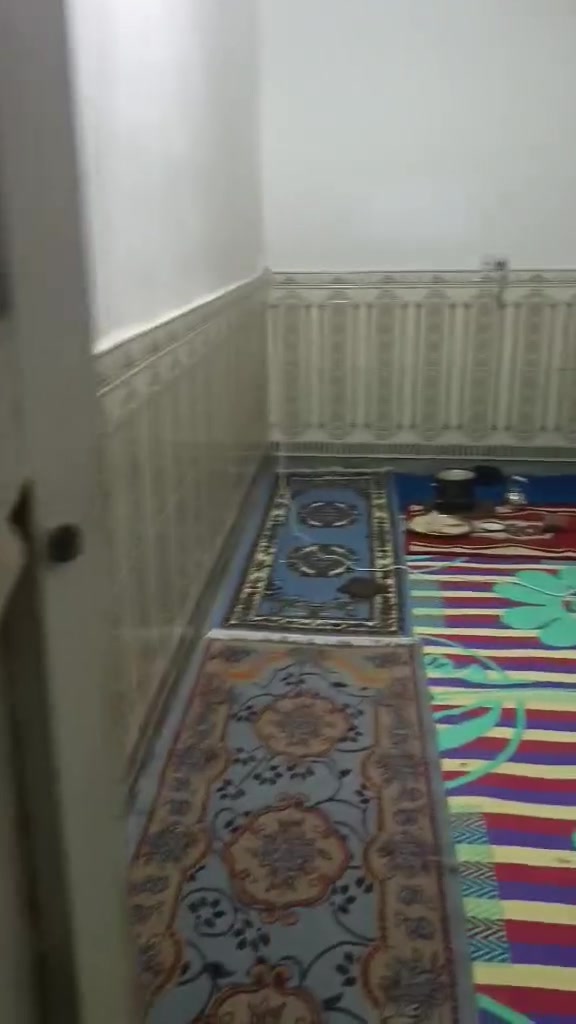 سلام عليكم بيت زراعي في حي الحسن قرب حسينية الامام محمد الجواد مساحته 150متر طابوك بي نواقص عليه تفاصيل خاص وهاذ رقمي  ***********
