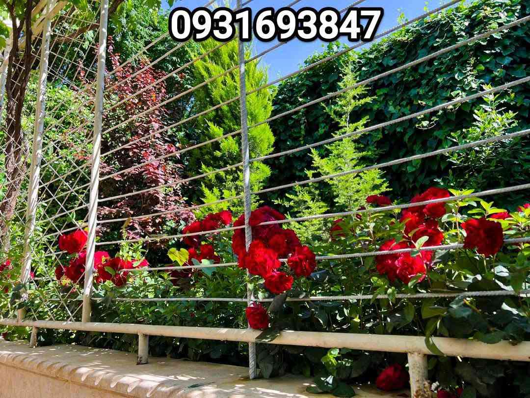 اصنعوا #ذكريات لا تُنسى في قلب الطبيعة😍❤️‍🔥
مزرعة السعادة هي #وجهتكم المثالية لكافة المناسبات 👌🏼
لمعرفه الاسعار تابع الصفحة وعلق بكلمة / #السعادة/ بتوصلك تلقائي،،


**إذا كنت صاحب هذا الإعلان وتريد حذفه لأي سبب، رجاءا أرسل رسالة إلى الدعم الفني**