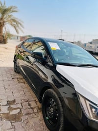 النترا ٢٠٢٠ • وارد امريكي • نص البنيد