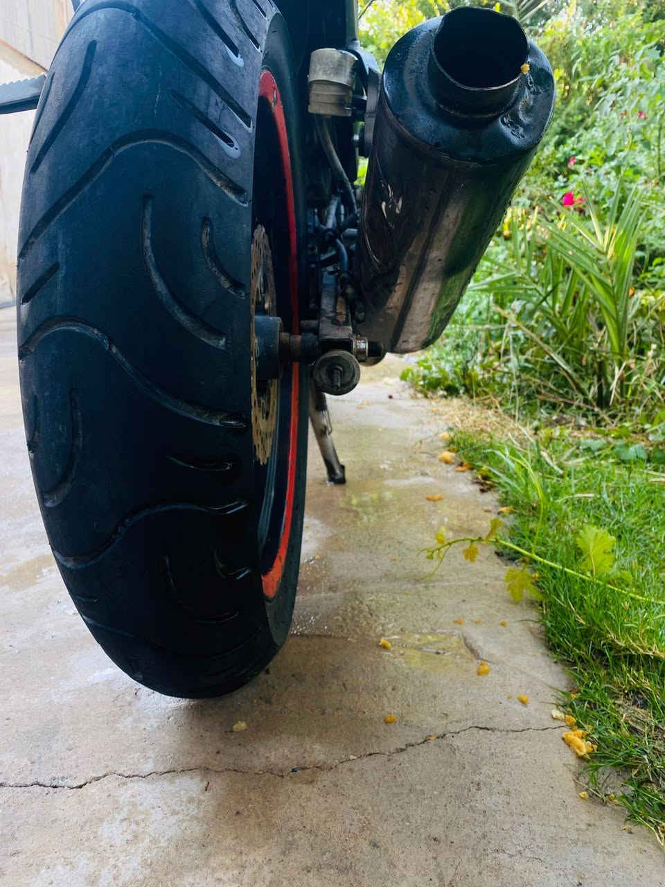 سيام شغالة للبيع مكاني بعقوبة
مكينه بيها دخان بسيط ونقص باتري لباقي سلف هندر لايت كاملة بدون اوراق 
قيم واخذ  ***********
