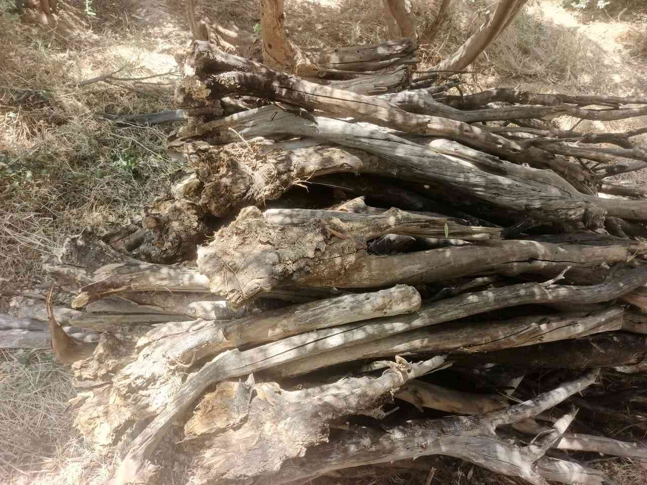 عندي خشب لبيع (حمل كيا)
جماعة المطاعم... مواكب
جماعة السمك.. الي يريد  تفضل خاص.....اتصل عل رقم  (حمل كيا (١٥٠ الف ) 
***********
