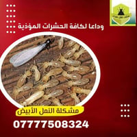 نحن هنا لحمايتك! 🛡️ نقدم لكم في [اسم مكتب اهل بغداد لمكافحة الحشرات ] ...